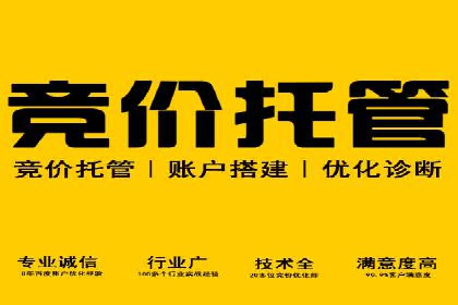 信息流广告成功案例分析